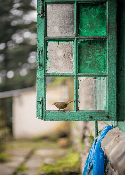 aditya-saxena-386012-unsplash
